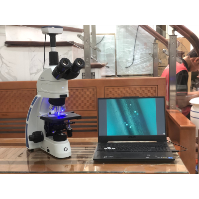 Kinh hien vi huynh quang kim tuong Euromex OX.3237 (hình 3).jpg